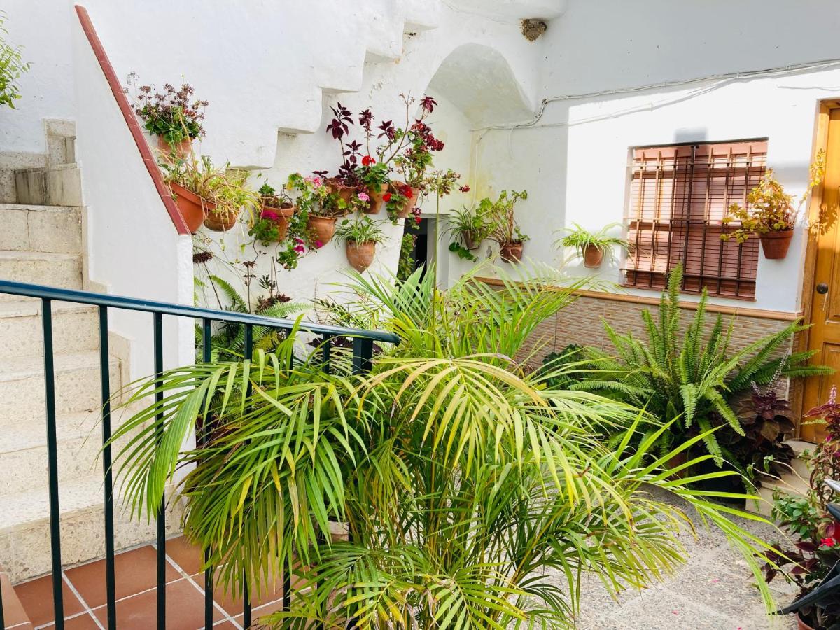 Apartamento Conil Centro Conil De La Frontera Luaran gambar